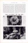 Country Life Saturday 06 July 1929 Page 70