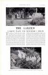 Country Life Saturday 02 November 1929 Page 80