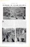 Country Life Saturday 09 July 1932 Page 51