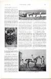 Country Life Saturday 23 July 1932 Page 55