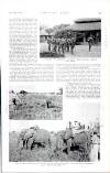 Country Life Saturday 10 June 1939 Page 65