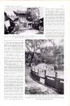 Country Life Saturday 02 November 1940 Page 21