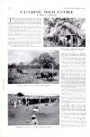 Country Life Friday 24 October 1941 Page 22