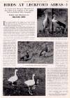 Country Life Friday 17 July 1942 Page 23
