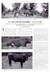 Country Life Friday 18 December 1942 Page 22