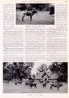 Country Life Friday 18 December 1942 Page 23