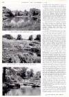 Country Life Friday 08 October 1943 Page 26