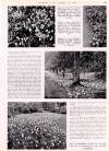 Country Life Friday 18 August 1944 Page 29