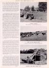 Country Life Friday 22 September 1944 Page 29