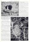 Country Life Monday 25 December 1950 Page 70