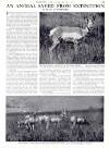 Country Life Friday 26 January 1951 Page 43