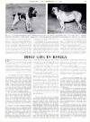 Country Life Friday 16 February 1951 Page 39