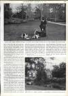 Country Life Friday 19 October 1951 Page 53