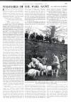 Country Life Friday 05 December 1952 Page 53