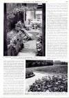Country Life Thursday 04 February 1954 Page 33