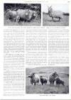 Country Life Thursday 04 March 1954 Page 47