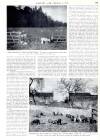 Country Life Thursday 05 March 1959 Page 37