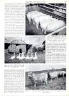 Country Life Thursday 19 May 1960 Page 43