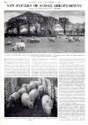 Country Life Thursday 08 September 1960 Page 42