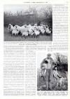 Country Life Thursday 05 January 1961 Page 29