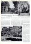 Country Life Thursday 25 May 1961 Page 40