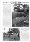 Country Life Thursday 29 April 1971 Page 72