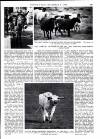 Country Life Thursday 04 December 1980 Page 99