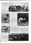 Country Life Thursday 12 January 1984 Page 57