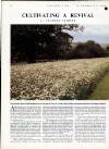 Country Life Thursday 27 December 1990 Page 36