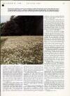 Country Life Thursday 27 December 1990 Page 37