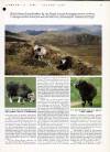 Country Life Thursday 21 February 1991 Page 73