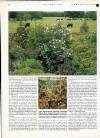 Country Life Thursday 28 February 1991 Page 66