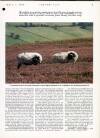 Country Life Thursday 04 April 1991 Page 93