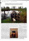 Country Life Thursday 20 February 1992 Page 67