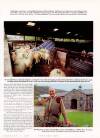 Country Life Thursday 11 February 1993 Page 47