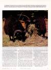Country Life Thursday 18 February 1993 Page 47