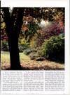 Country Life Thursday 05 October 1995 Page 51