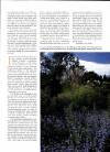 Country Life Thursday 16 November 2000 Page 73